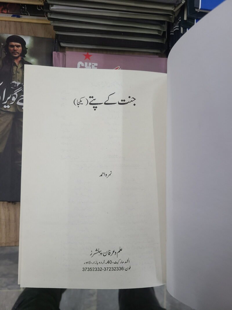 Jannat Kay Pattay / جنت کے پتے by Nimrah Ahmed New Edition - Image 2