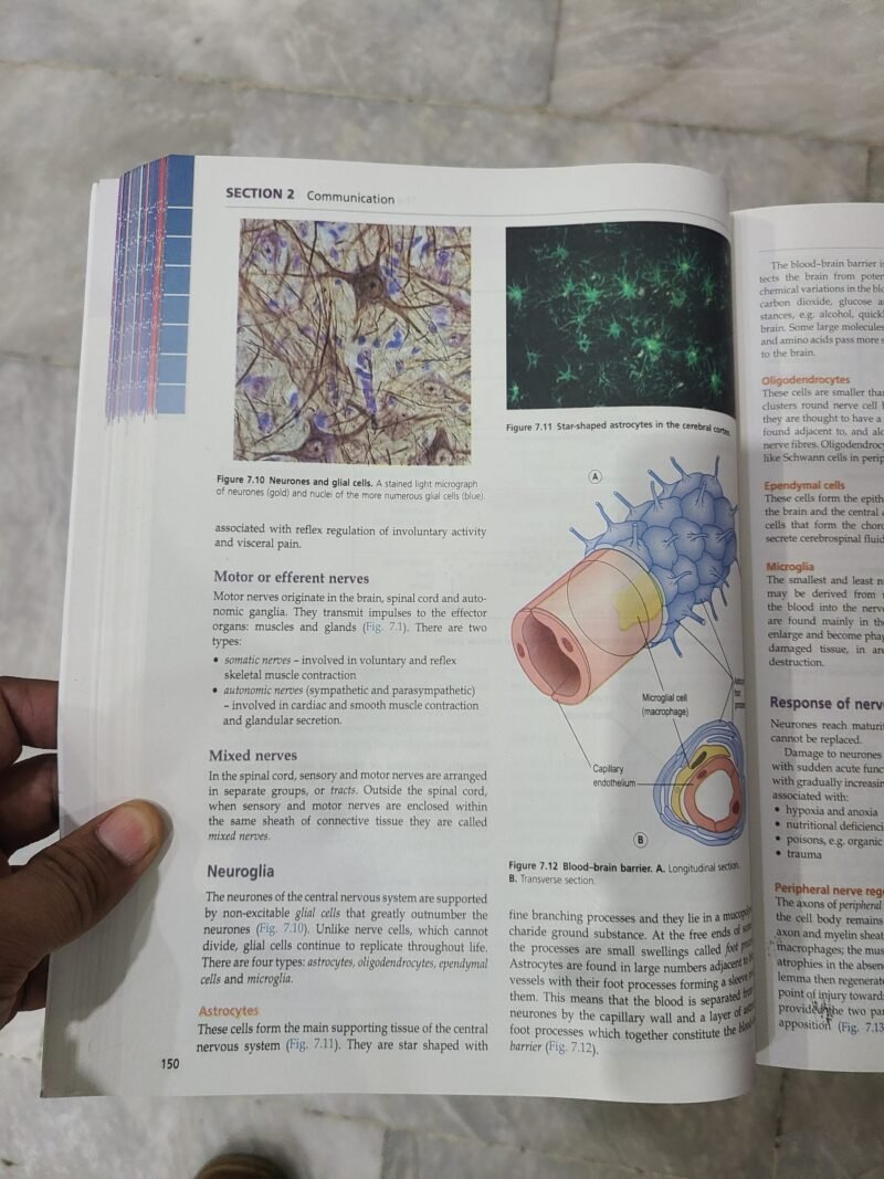 Ross & Wilson Anatomy and Physiology in Health and Illness 16th by Anne Waugh - Image 4