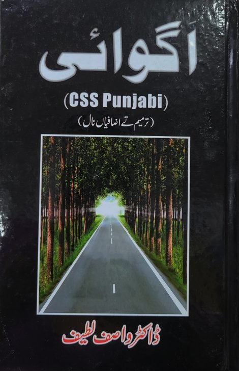 Agwai Punjabi اگوائی پنجابی By Wasif Latif - Image 2