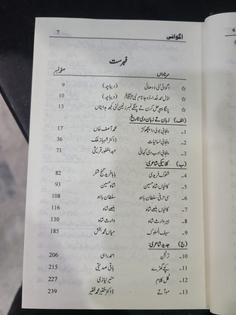 Agwai Punjabi اگوائی پنجابی By Wasif Latif - Image 4