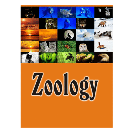 Zoology 4th by Miller Harley