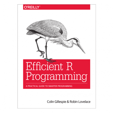 Efficient R Programming by Colin Gillespie