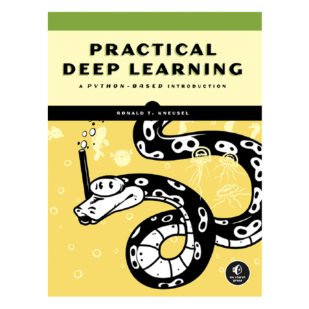 Practical Deep Learning: A Python-Based Introduction by Ron Kneusel