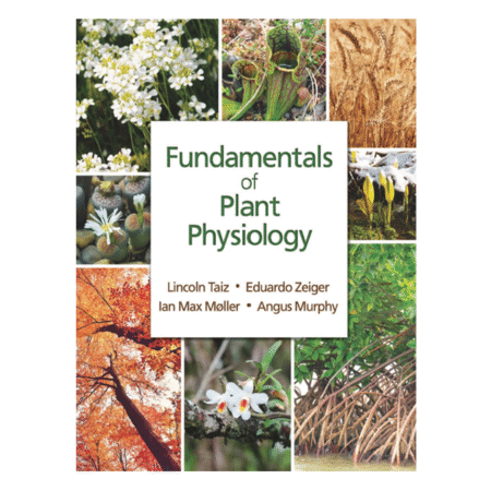 Fundamentals of Plant Physiology by Lincoln Taiz