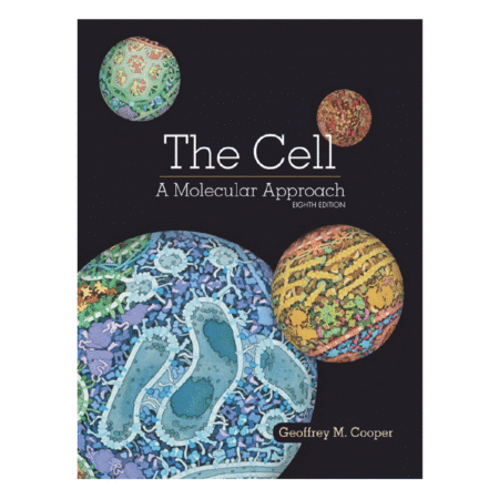 The Cell A Molecular Approach 8th by Geoffrey M. Cooper