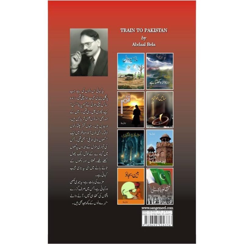 Train To Pakistan ٹرین ٹو پاکستان by Abdaal Bela - Image 2