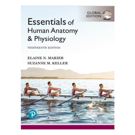 Essentials of Human Anatomy & Physiology [Global Edition] 13th