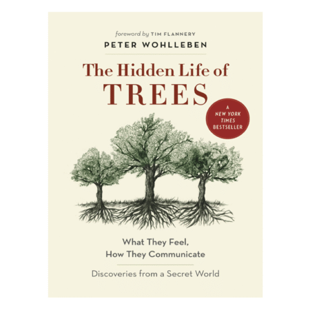 The Hidden Life of Trees by Peter Wohlleben